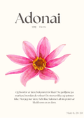 Adonai